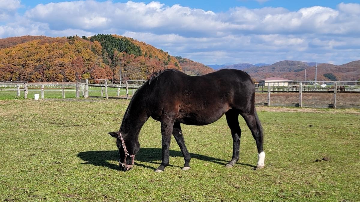 048efd7b184a084c2490792569e5bd17-1763314265.jpg 048efd7b184a084c2490792569e5bd17-1763314265.jpg